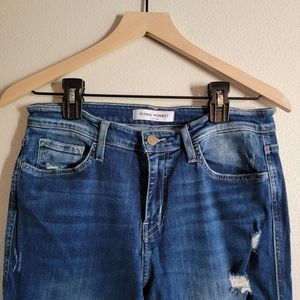 Flying Monkey, 29, Med wash